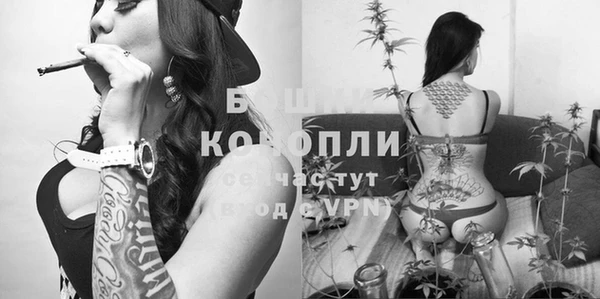 стаф Дмитриев
