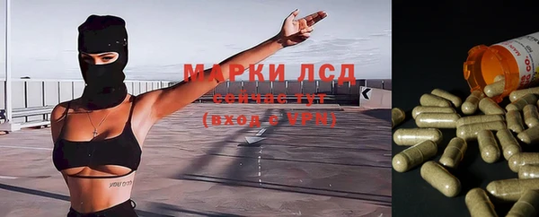 стаф Дмитриев