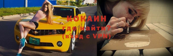 стаф Дмитриев