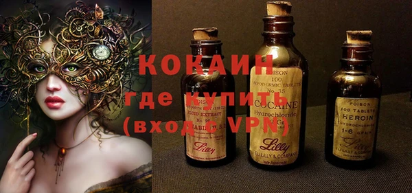 стаф Дмитриев