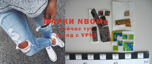 стаф Дмитриев