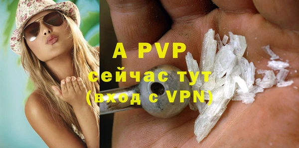 стаф Дмитриев