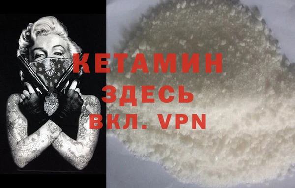 стаф Дмитриев