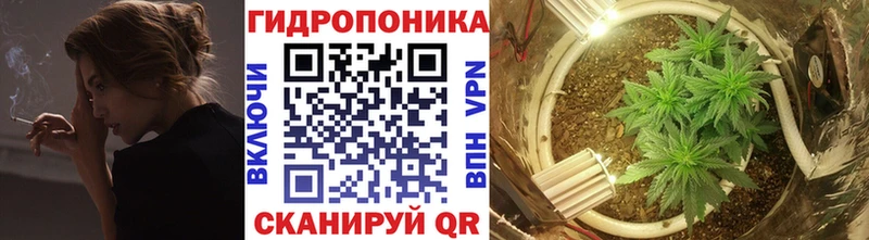МАРИХУАНА OG Kush  KRAKEN рабочий сайт  Пикалёво 